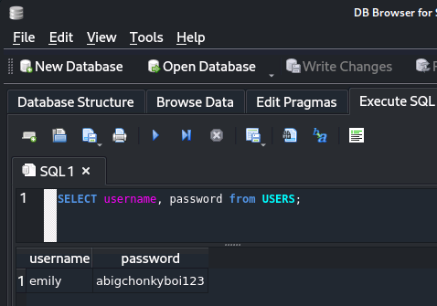 Opening the database in SQLiteBrowser